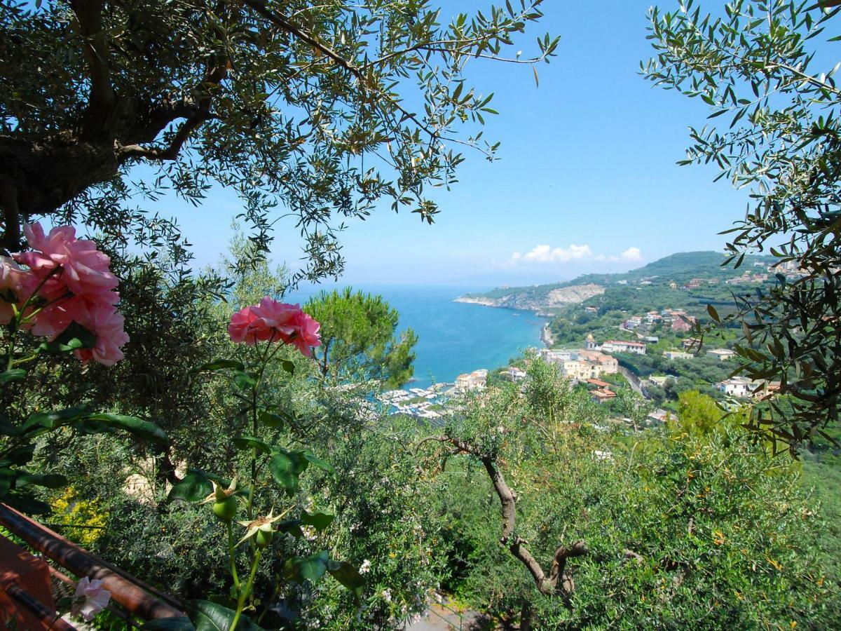 Locazione Turistica Maddalena Villa Massa Lubrense Esterno foto